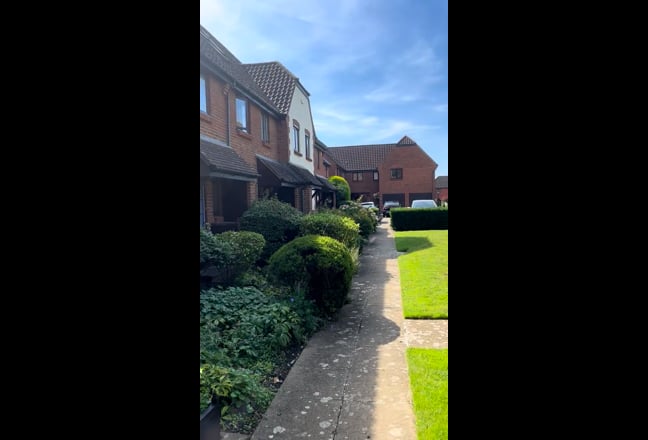 Beautiful comfy single room all bills included Main Photo