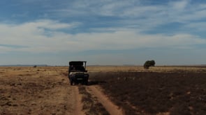 Video 6