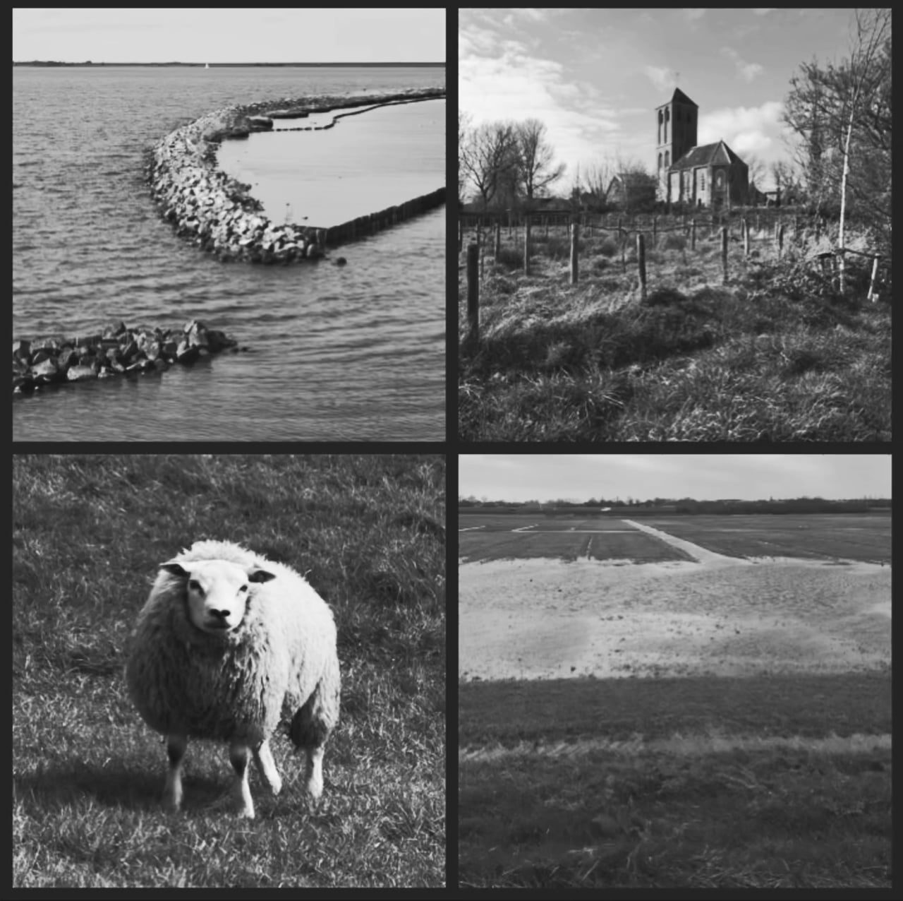Margo - Wieringerwaard naar Westerland