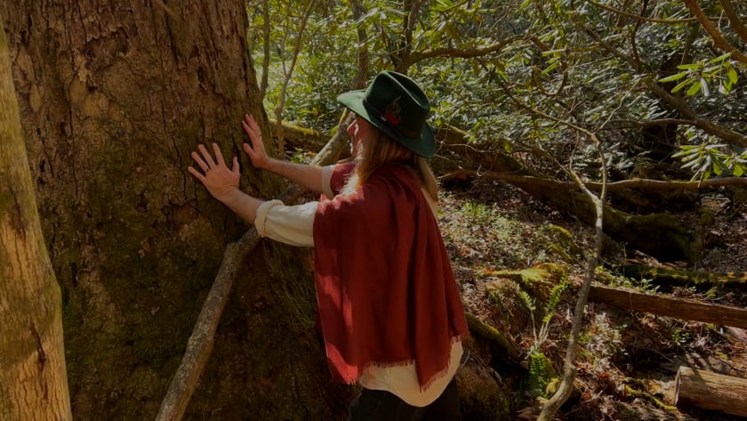 vimeo-video-thumbnail