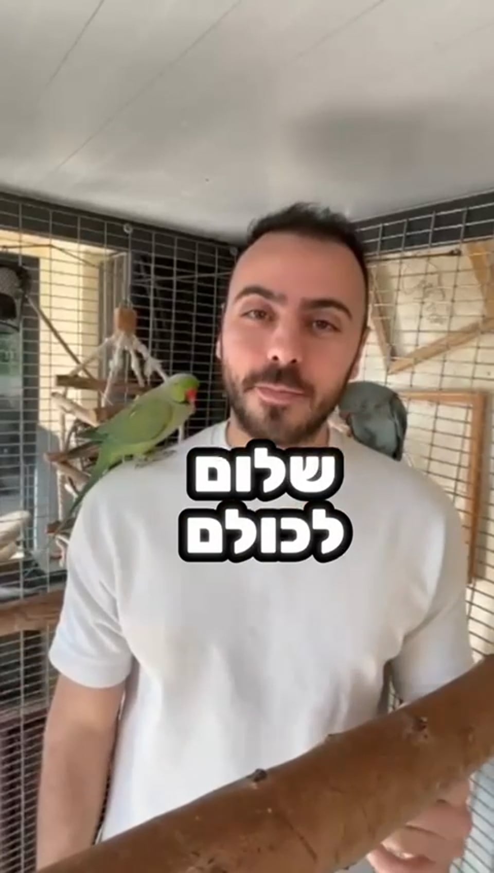 המלצת לקוח - תוכים