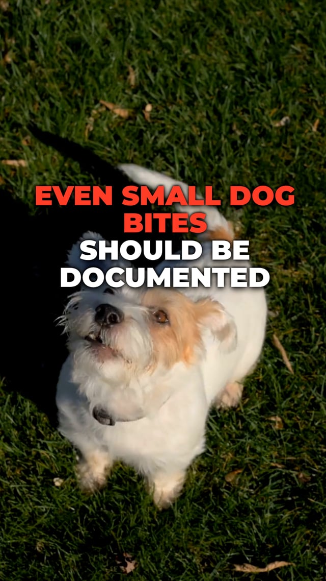 Even Small Dog Bites Should Be Documented video thumbnail