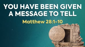 Related Embedded Video Item Thumbnail