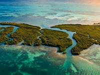 Montego Caye – Private island in Belize, Central America – video thumbnail