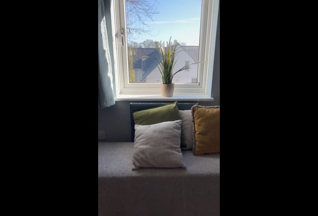 Welcoming room in a lovely house and location Main Photo