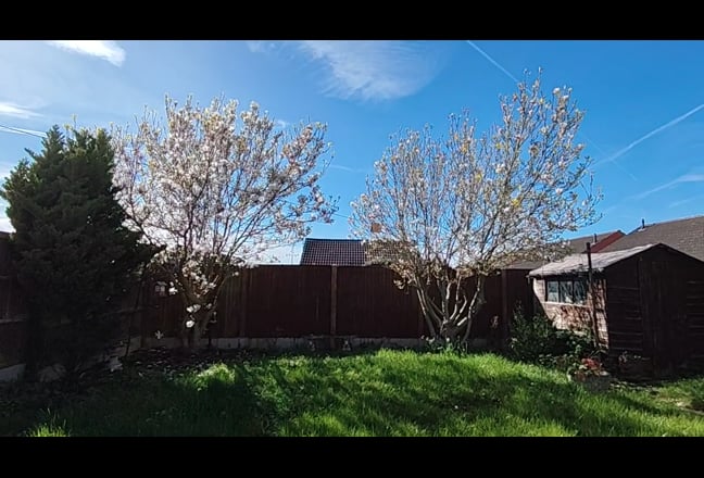 Home away from home in the heart of Newark Main Photo