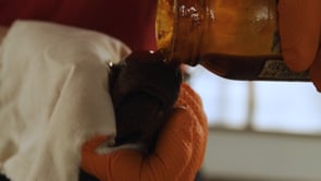 Related Embedded Video Item Thumbnail