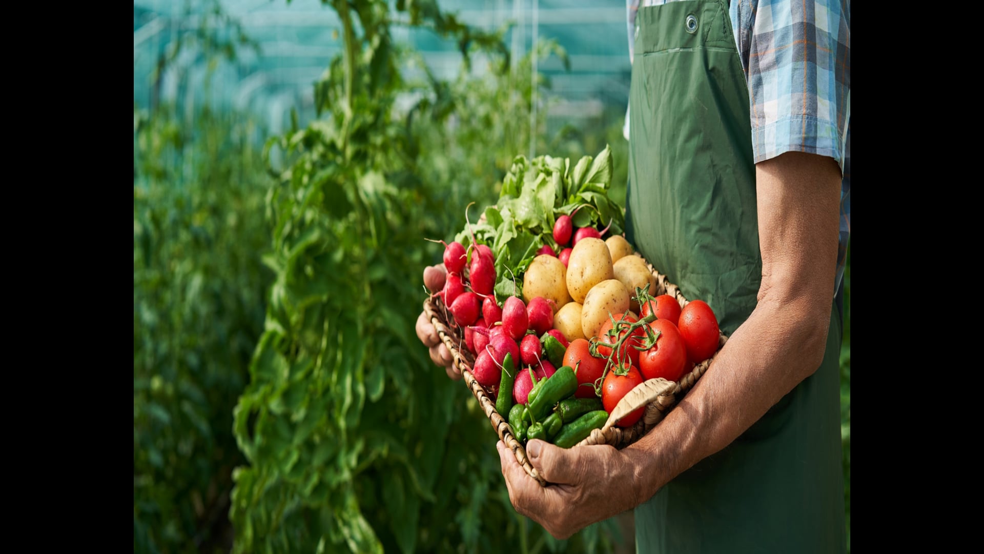 Turning the Inverted Food Pyramid Upside Down: Embracing Plant-Based Nutrition for Personal and Planetary Health