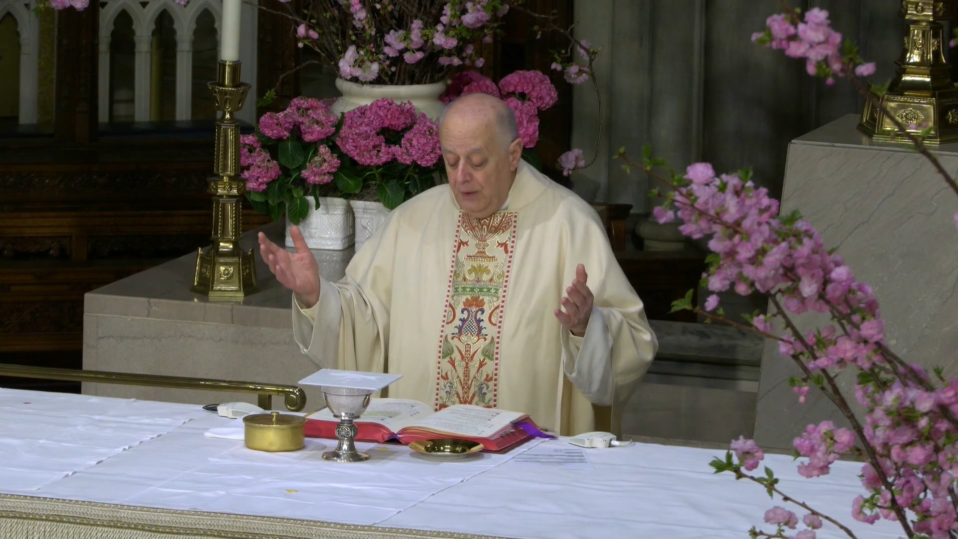 Mass from St. Patrick's Cathedral - April 7, 2026