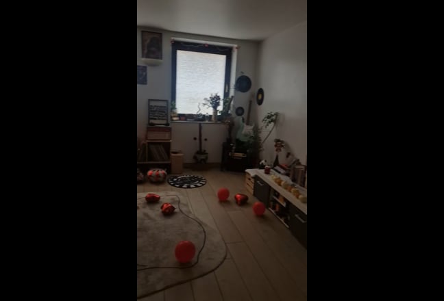 Flat share with a outgoing physiotherapist  Main Photo