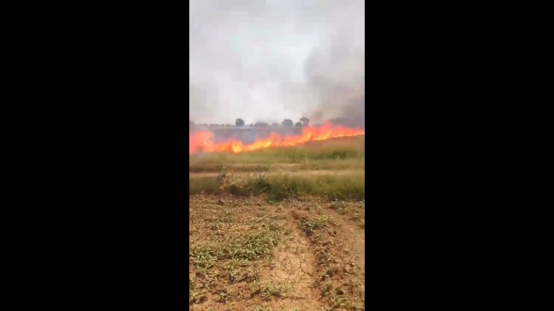 कोंच, खेत में गेहूं की पराली में लगी आग से मची अफरा-तफरी, किसानों ने ट्रैक्टर से बुझाई आग