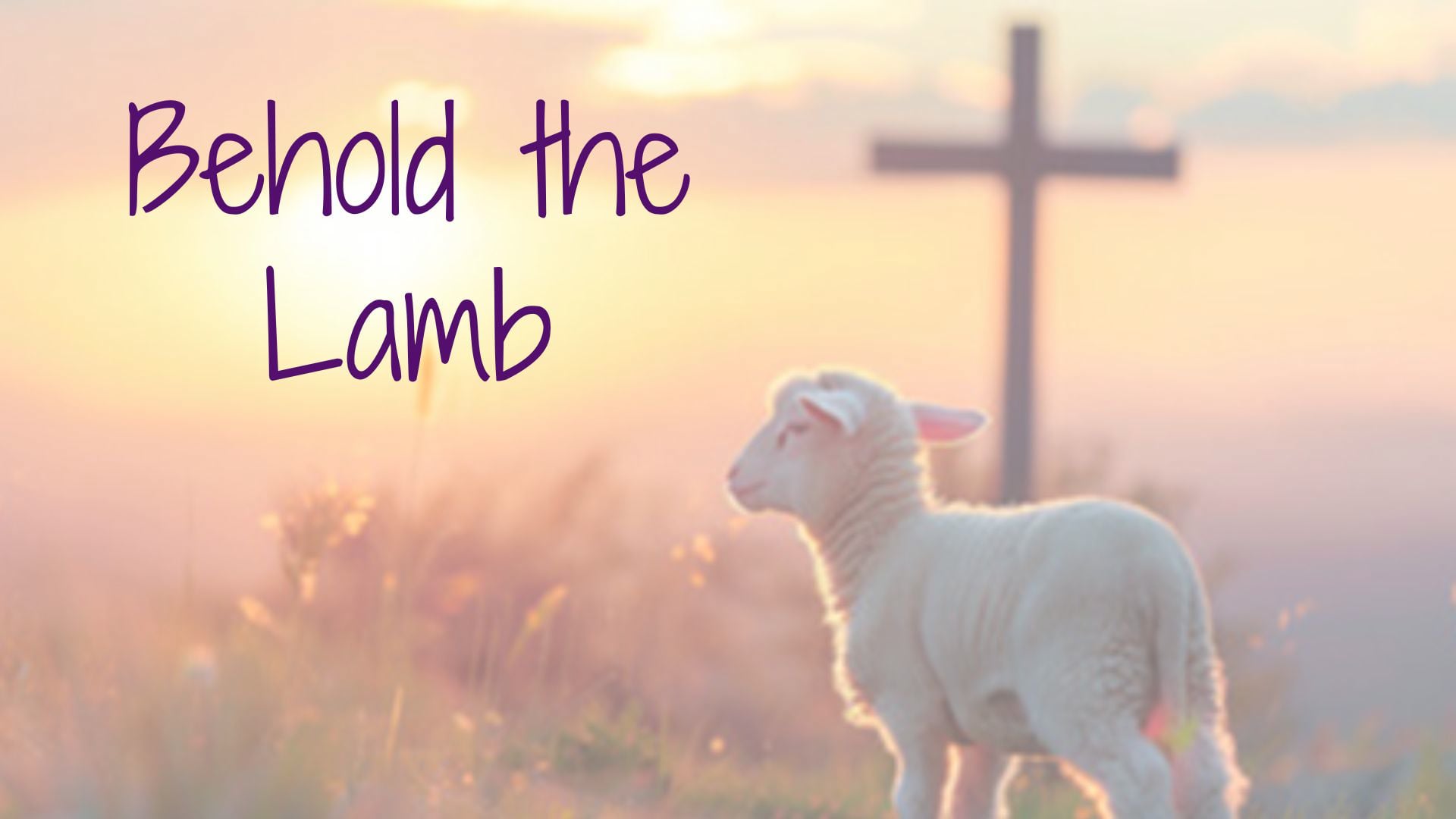 Sermon, April 5, 2026 - Easter Sunday