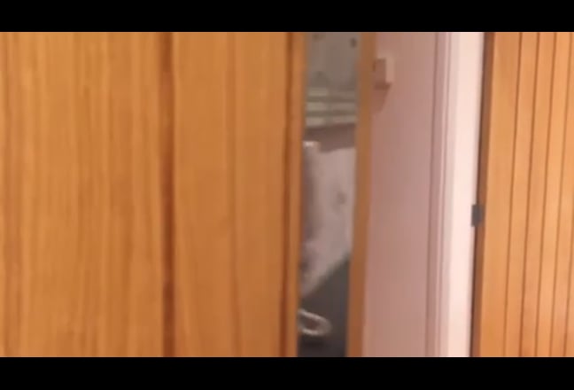  Studio style rms with large kitchenettes -APR/MAY Main Photo