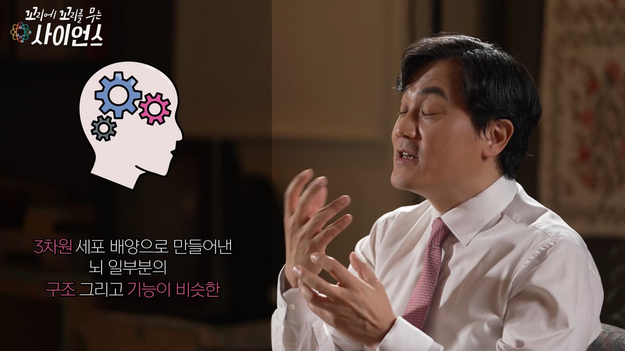 꼬리에 꼬리를 무는 사이언스 미니뇌편
