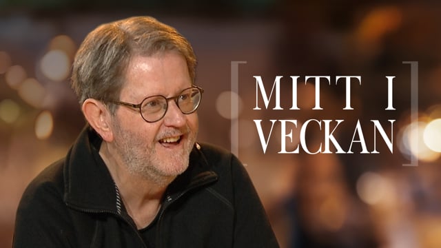 ⁣Perla Bjurenstedt | Mitt i veckan