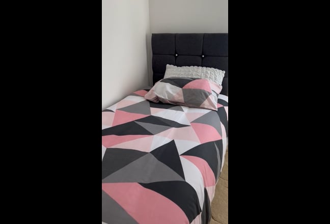 Single Blight Room Available. Main Photo