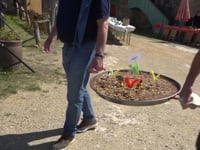 L’Aplec de Cinc Claus tanca la Setmana Santa amb un radiant concurs d’arrossos