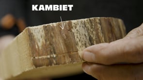Related Embedded Video Item Thumbnail