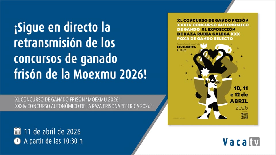 Concursos de ganado frisón de la Moexmu 2026
