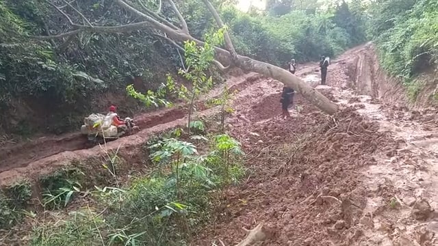 Les poids lourds sur nos routes