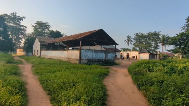 Qui sauvera la cotonnière ?