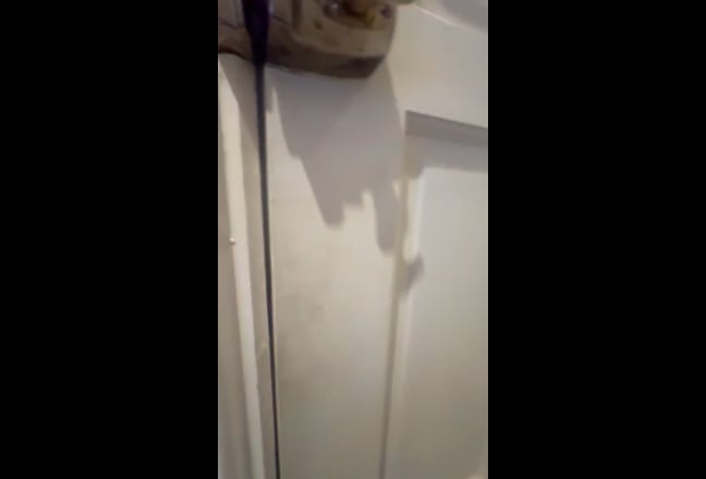 2 Bed Flat in Balham  Main Photo