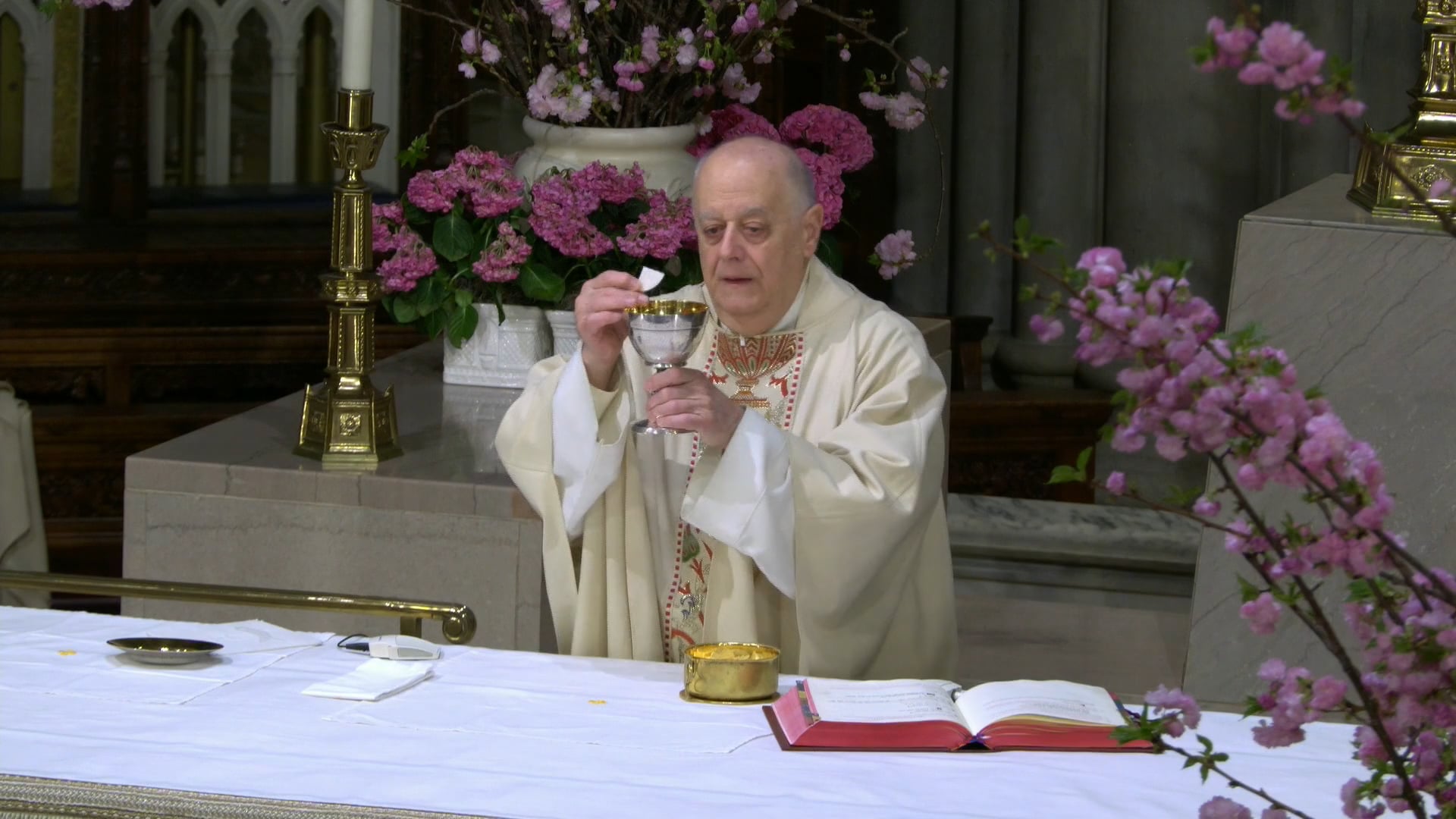 Mass from St. Patrick's Cathedral - April 8, 2026