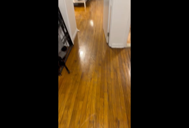 Big sized Room in Astoria/Ditmars Blvd area Main Photo