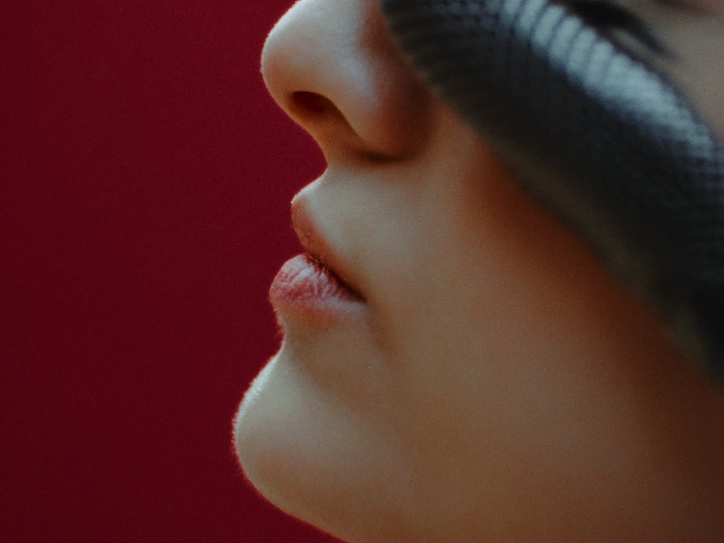 Serpent Story | Videos & Movies on Vimeo