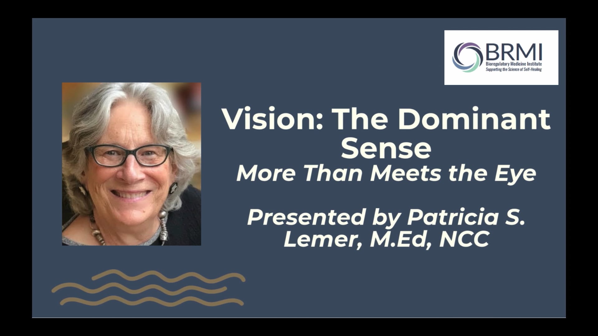 Patricia Lemer - Conference 2026 - Vision, The Dominant Sense, More Than Meets the Eye