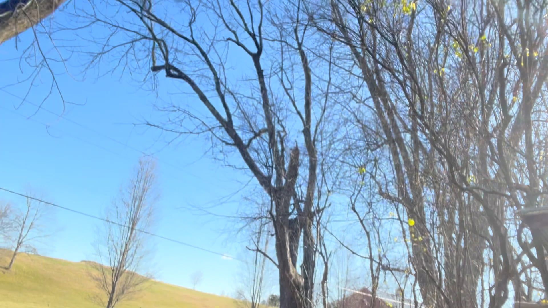 lift with your knees not your back, 2026