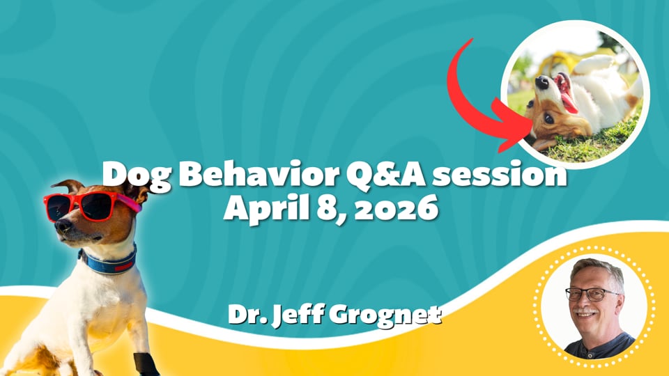 Dog Behavior Q&A session April 8, 2026 