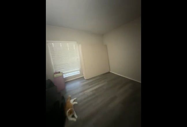 Spare room For rent with private bathroom  Main Photo