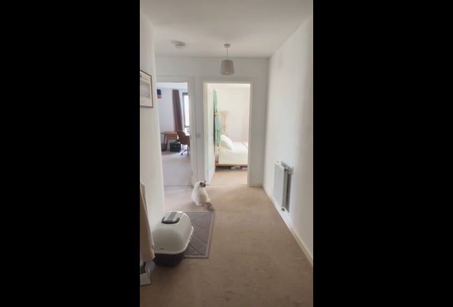 Double bedroom with own bathroom in East London Main Photo