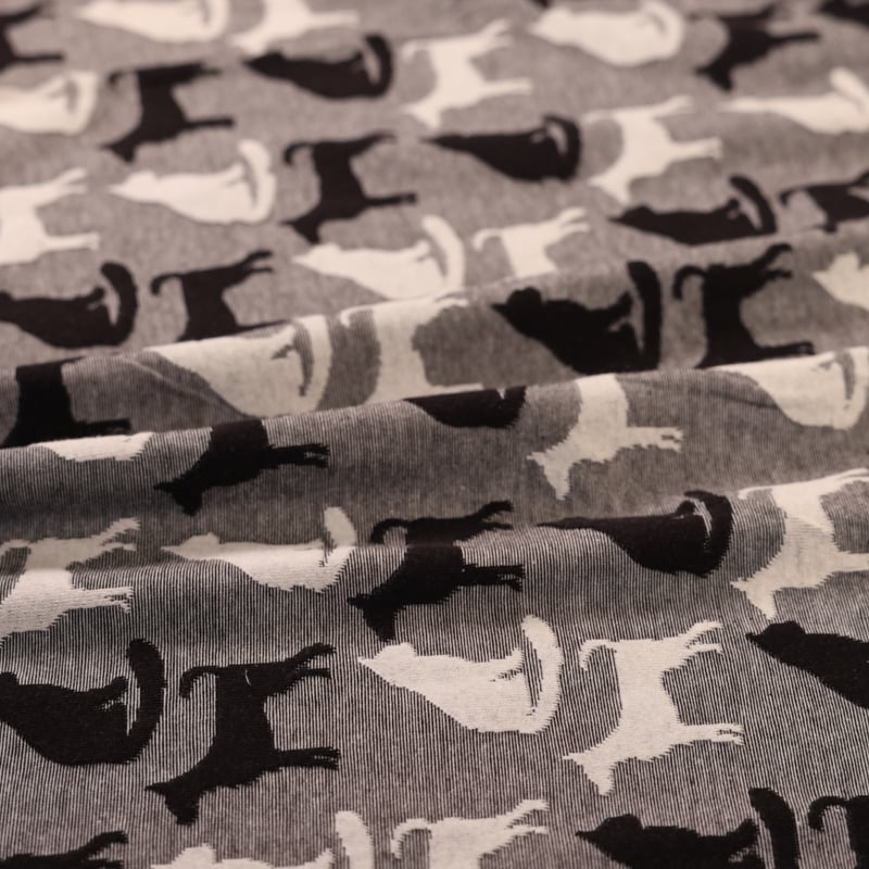 Vidéo: Jersey jacquard coton & élasthanne - Chat blanc et noir fond gris