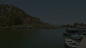 social header