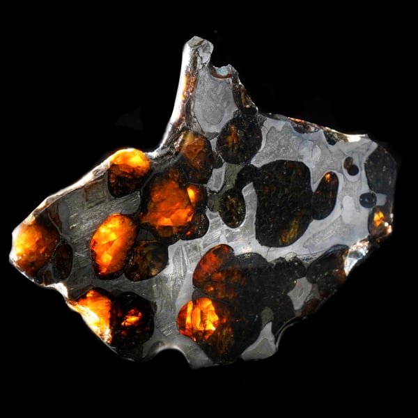 ブレナム隕石 (Brenham Pallasite) Authentic Pallasite Meteorite Slice – Translucent Olivine Crystals
