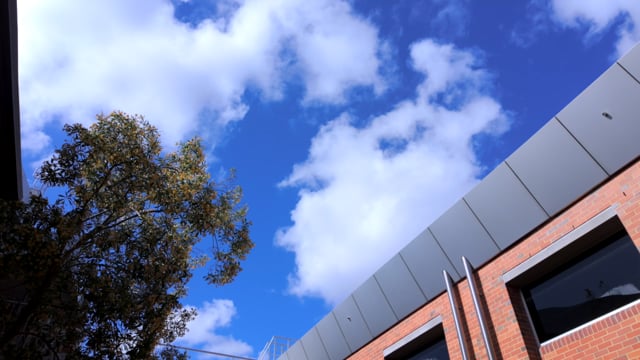 vimeo-video-thumbnail