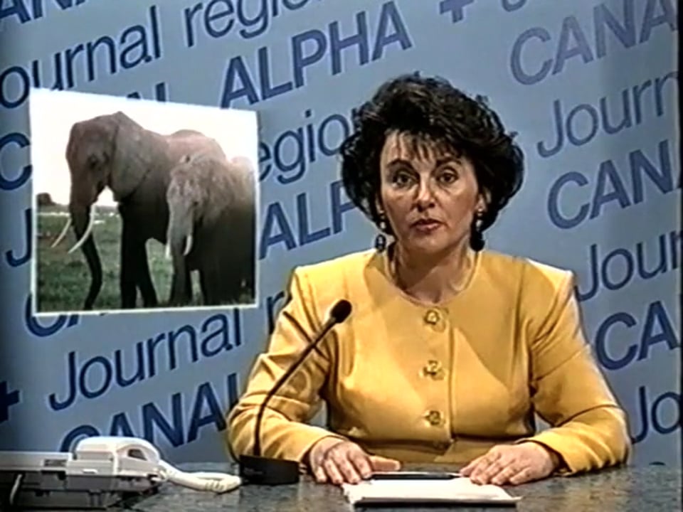 Canal Alpha Plus - Journal régional - Exposition photo André Braichet - 1993