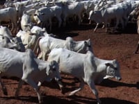 Lote 30A