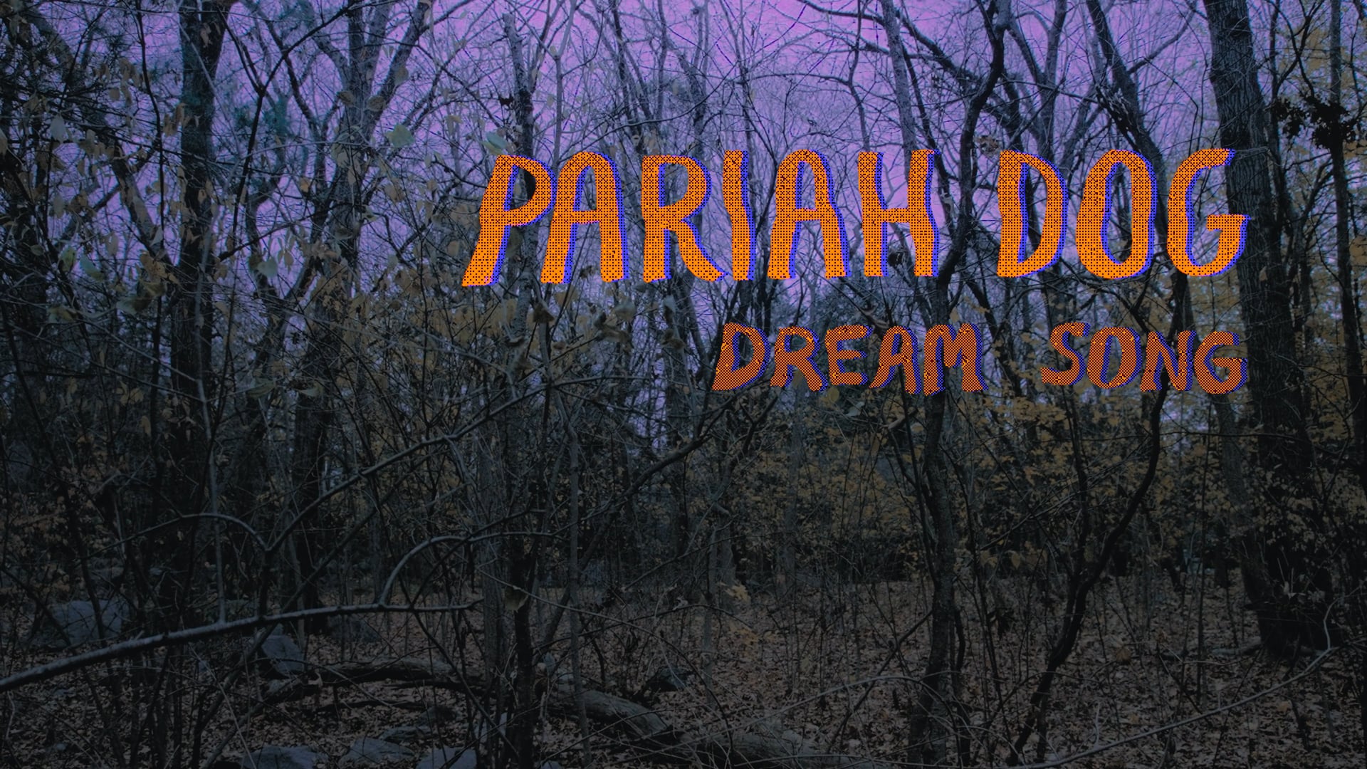 Pariah Dog - Dream Song