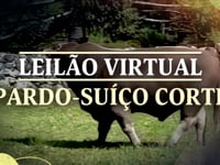 VT Comercial