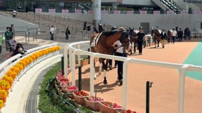 動画サムネイル