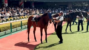 動画サムネイル