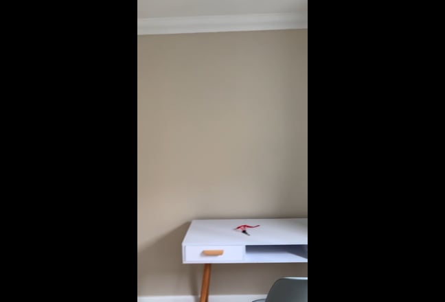 Two Spacious Double Rooms in a 3-Bed Terrace  Main Photo