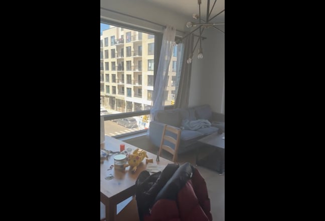 Luxury Brooklyn Apt looking for Roommate Main Photo