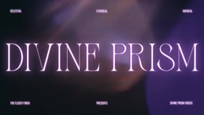 Divine Prism Video Bundle, a Social Media Template by The Flossy Finch (Thumbnail 2 of 21)