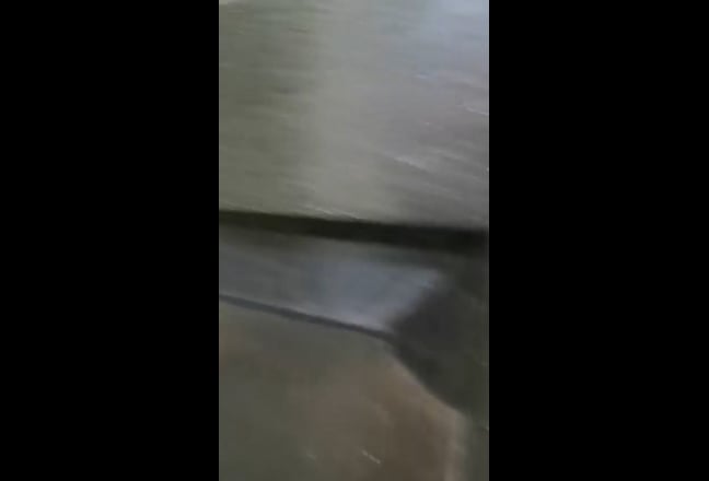 Female Great House Share Main Photo