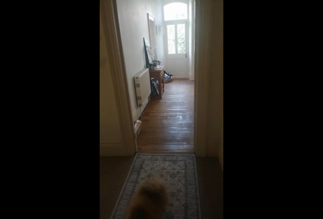 March 2026- pets considered -  Main Photo