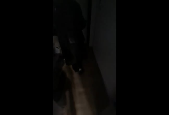 Double bed room in stockwell Main Photo